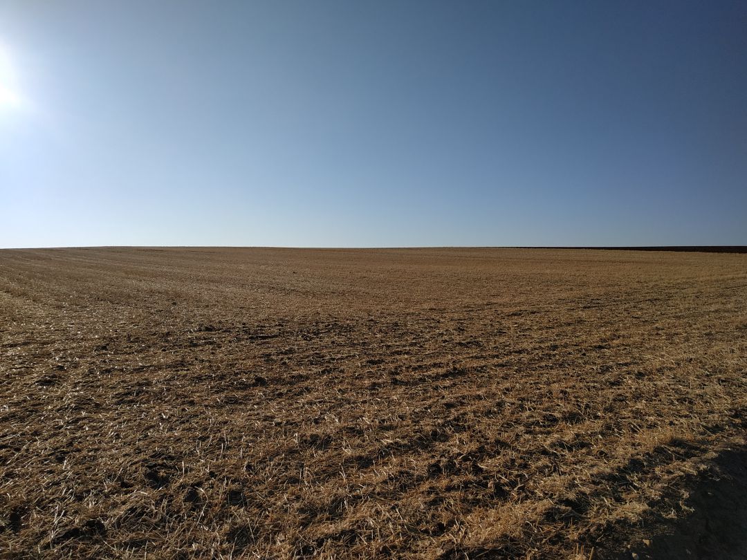 El campo en la SER El campo en la SER