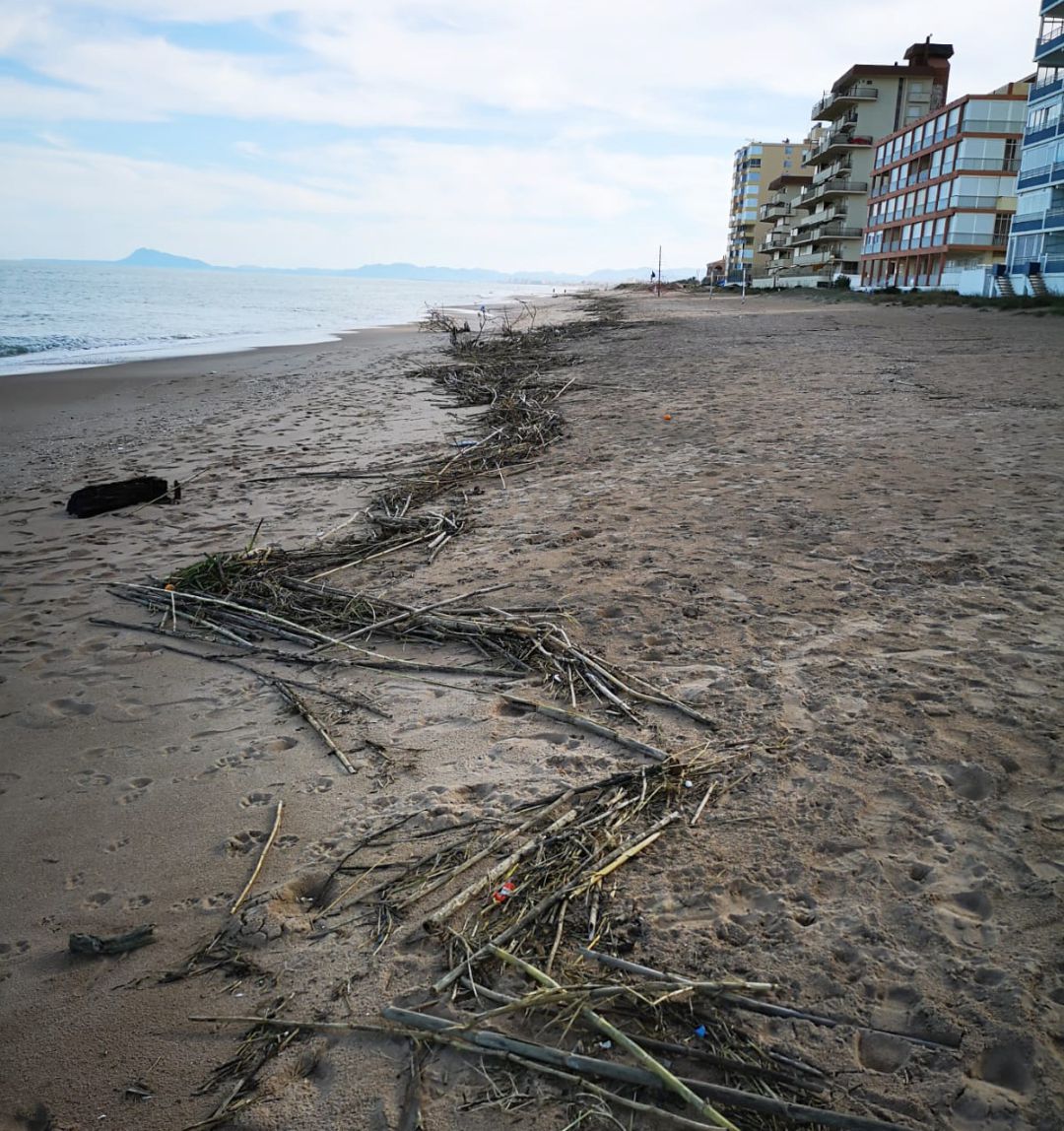 Cañas y restos del último temporal en la playa de Tavernes Cañas y restos del último temporal en la playa de Tavernes