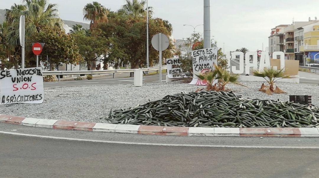 Agricultores lanzan pepinos en la rotonda de Carchuna como medida de protestas por los bajos precios Agricultores lanzan pepinos en la rotonda de Carchuna como medida de protestas por los bajos precios