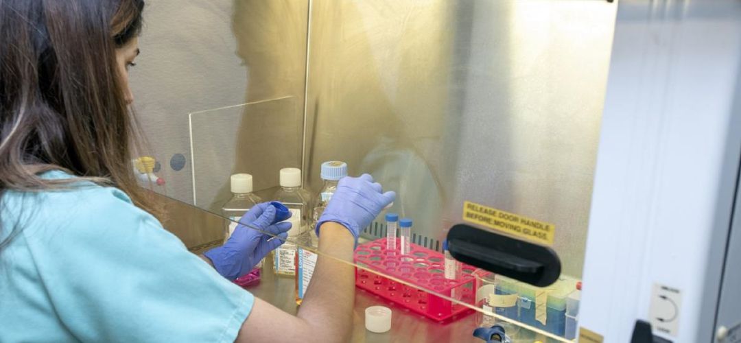 El centro ha puesto en marcha decenas de páginas web para dar información a pacientes y familiares El centro ha puesto en marcha decenas de páginas web para dar información a pacientes y familiares