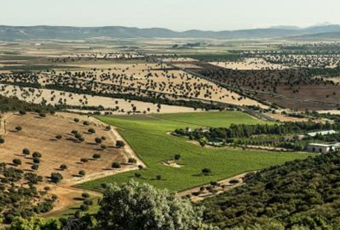 36 hectáreas con la meseta toledana al norte, La Mancha al este y el Campo de Calatrava al sur 36 hectáreas con la meseta toledana al norte, La Mancha al este y el Campo de Calatrava al sur