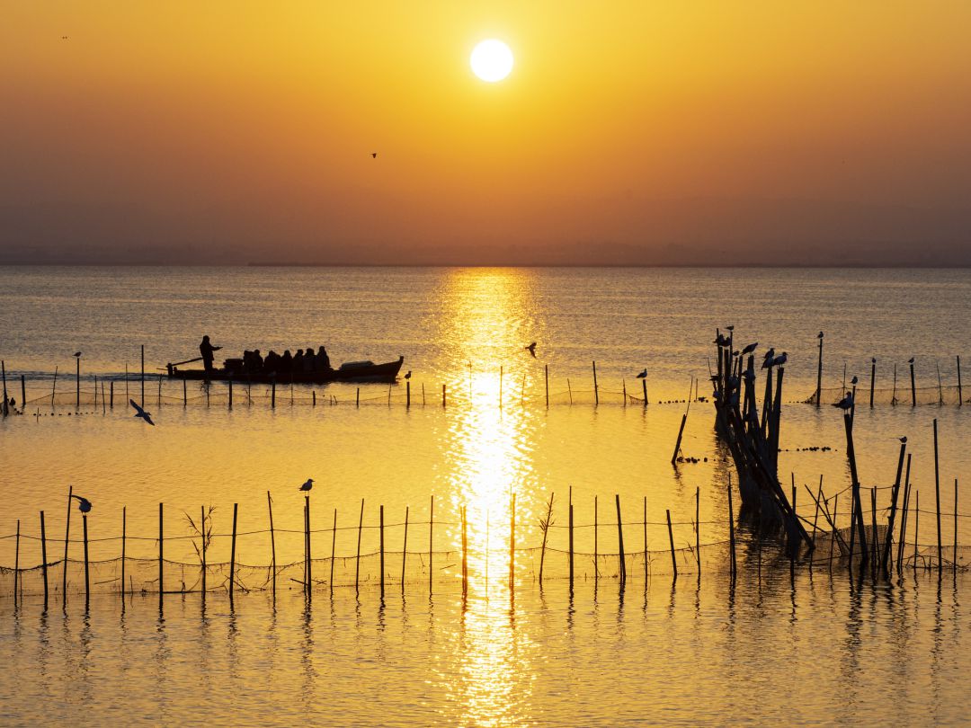 Albufera de València Albufera de València