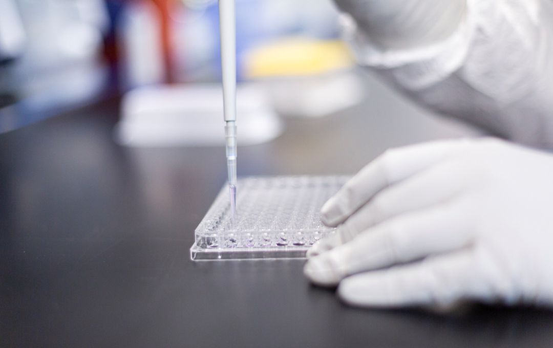 Un investigador trabaja en la vacuna de la COVID-19. Un investigador trabaja en la vacuna de la COVID-19.