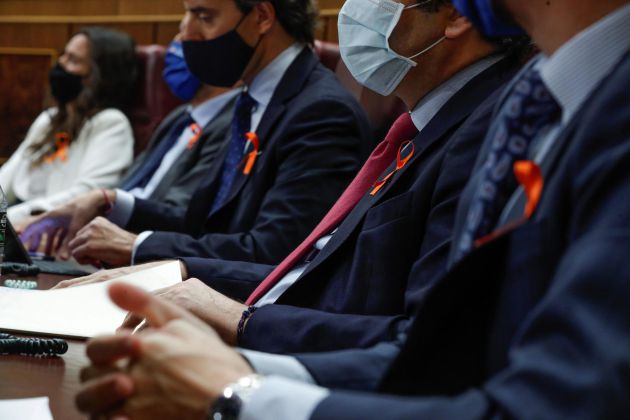 Los diputados del Partido Popular portan en las solapas de sus chaquetas un lazo naranja como símbolo de su oposición a la nueva ley de educación, llamada ley Celaá, durante la sesión de control al Ejecutivo, este miércoles en el Congreso Los diputados del Partido Popular portan en las solapas de sus chaquetas un lazo naranja como símbolo de su oposición a la nueva ley de educación, llamada ley Celaá, durante la sesión de control al Ejecutivo, este miércoles en el Congreso