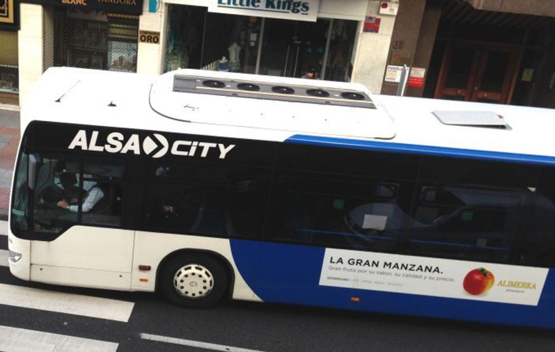 buses buses