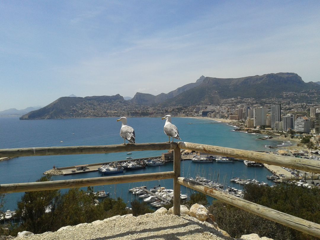 Calp, desde uno de los miradores del Peñón de Ifach Calp, desde uno de los miradores del Peñón de Ifach