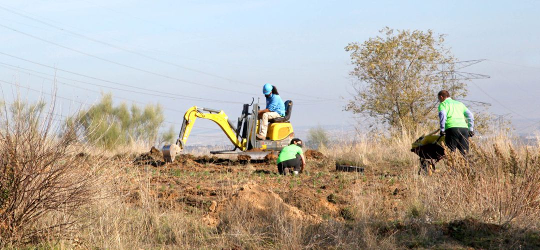 Trabajos de reforestación Trabajos de reforestación