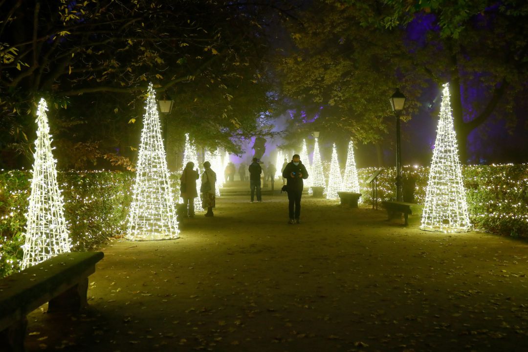 Detalle de la iluminación durante la inauguración de las luces de Navidad en el Real Jardín Botánico de Madrid con su 'Naturaleza Encendida'. Detalle de la iluminación durante la inauguración de las luces de Navidad en el Real Jardín Botánico de Madrid con su 'Naturaleza Encendida'.