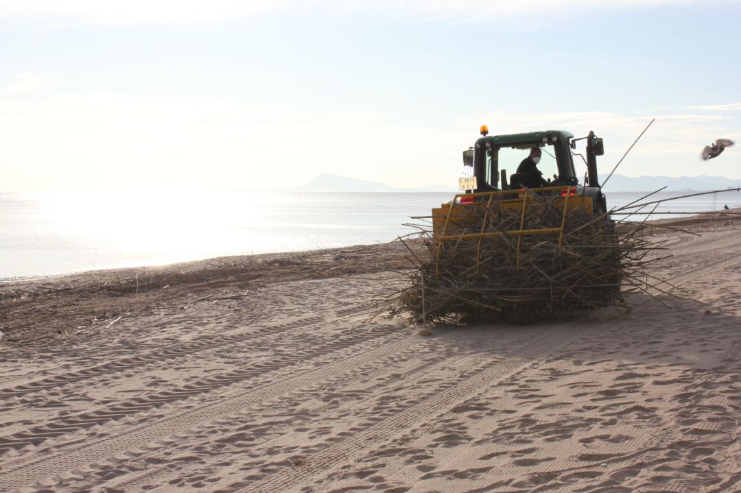 Máquina especial para recoger cañas de las playas Máquina especial para recoger cañas de las playas