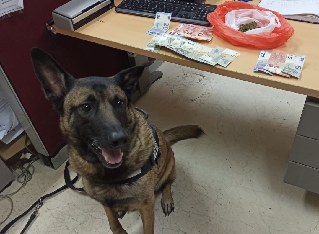 Egon de la Unidad Canina con una de las confiscaciones gracias a su trabajo Egon de la Unidad Canina con una de las confiscaciones gracias a su trabajo