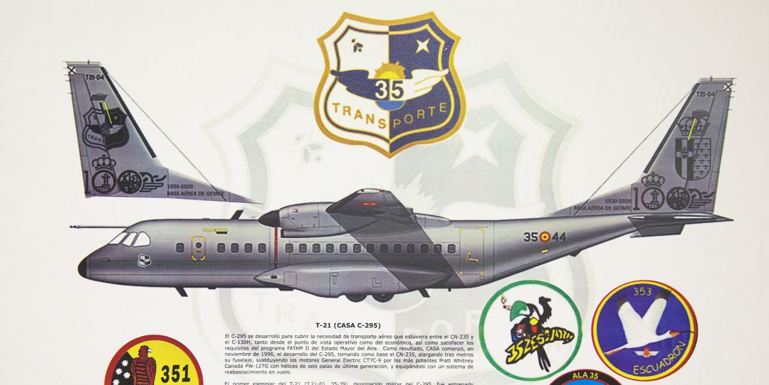 Imagen del diseño que tendrá el T21 que lucirá el escudo de la localidad en su lado izquierdo del estabilizador vertical. Imagen del diseño que tendrá el T21 que lucirá el escudo de la localidad en su lado izquierdo del estabilizador vertical.