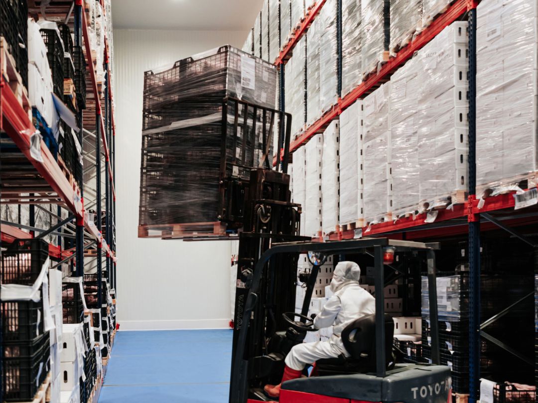 Cárnicas Tabladillo entrega más de 20.000 kilos de cochinillo al Banco de Alimentos Cárnicas Tabladillo entrega más de 20.000 kilos de cochinillo al Banco de Alimentos