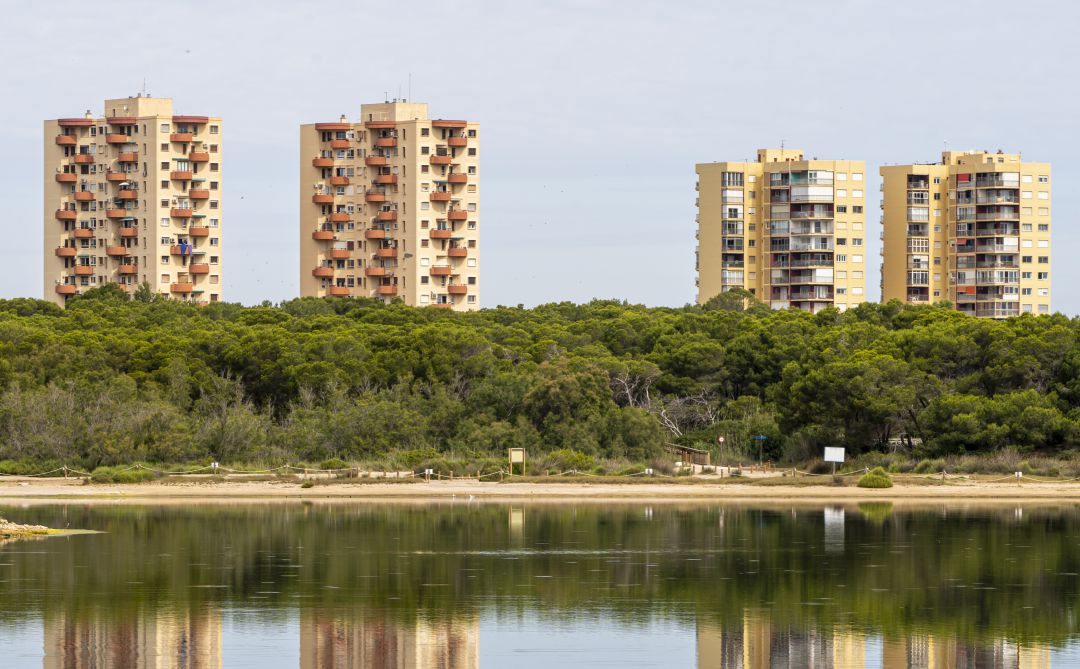 La Devesa de El Saler está en pleno parque natural de la Albufera de València. La Devesa de El Saler está en pleno parque natural de la Albufera de València.