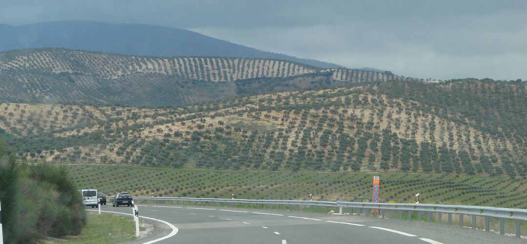 Tramo de la autovía A-44. Tramo de la autovía A-44.