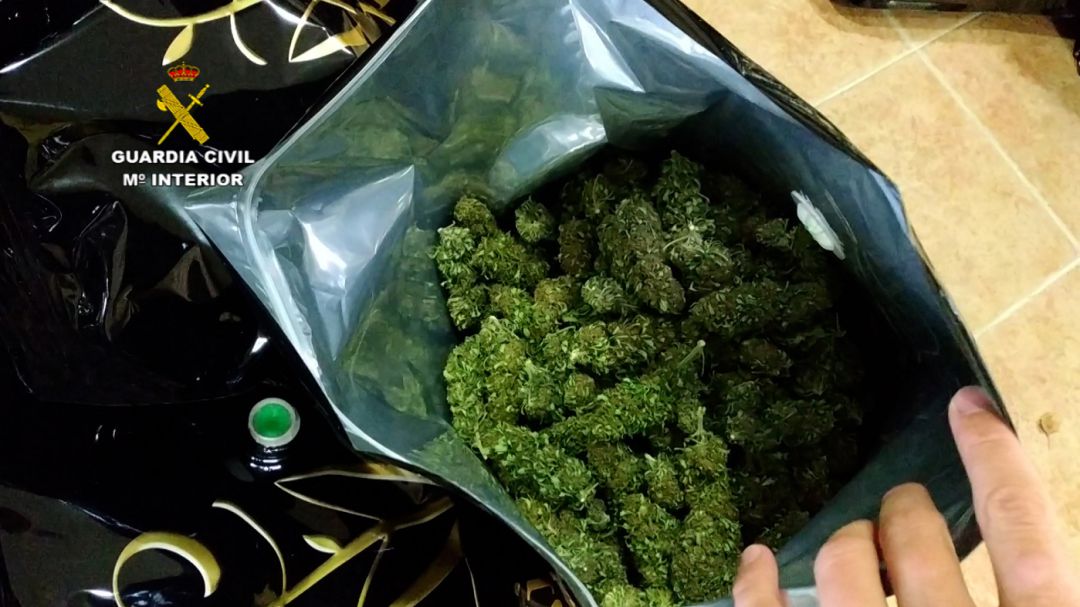 Cogollos de marihuana preparados para su venta Cogollos de marihuana preparados para su venta