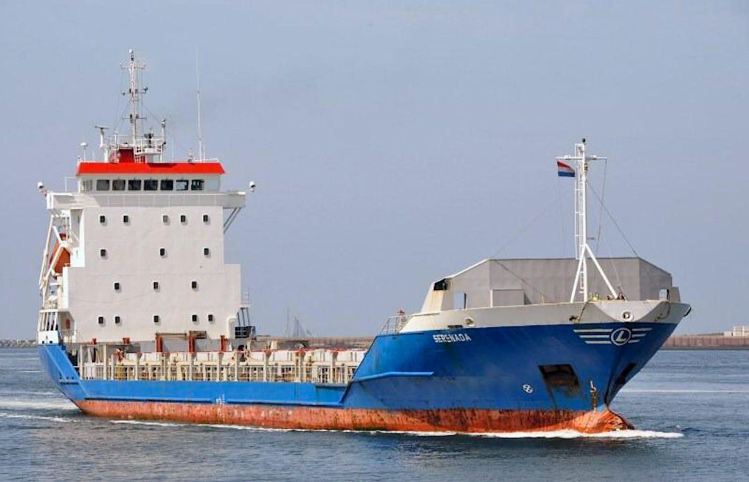 El portacontenedores que ha abierto hoy la comunicación diaria Cádiz-Canarias
El portacontenedores que ha abierto hoy la comunicación diaria Cádiz-Canarias