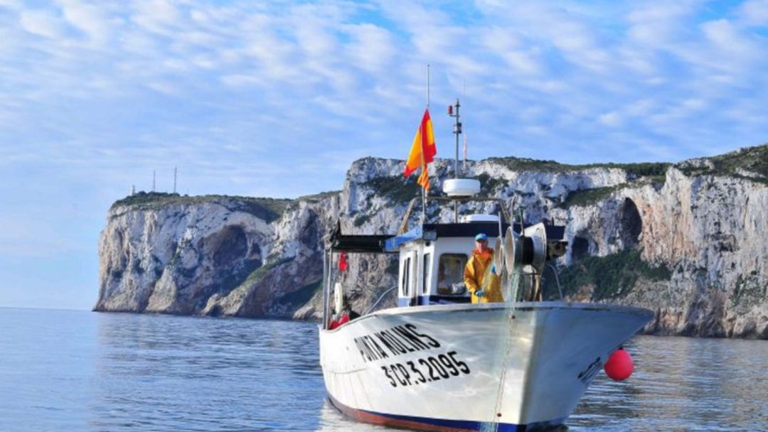Las cofradías castellonenses mueven casi el 40 por ciento del volumen de pesca de toda la Comunitat Las cofradías castellonenses mueven casi el 40 por ciento del volumen de pesca de toda la Comunitat