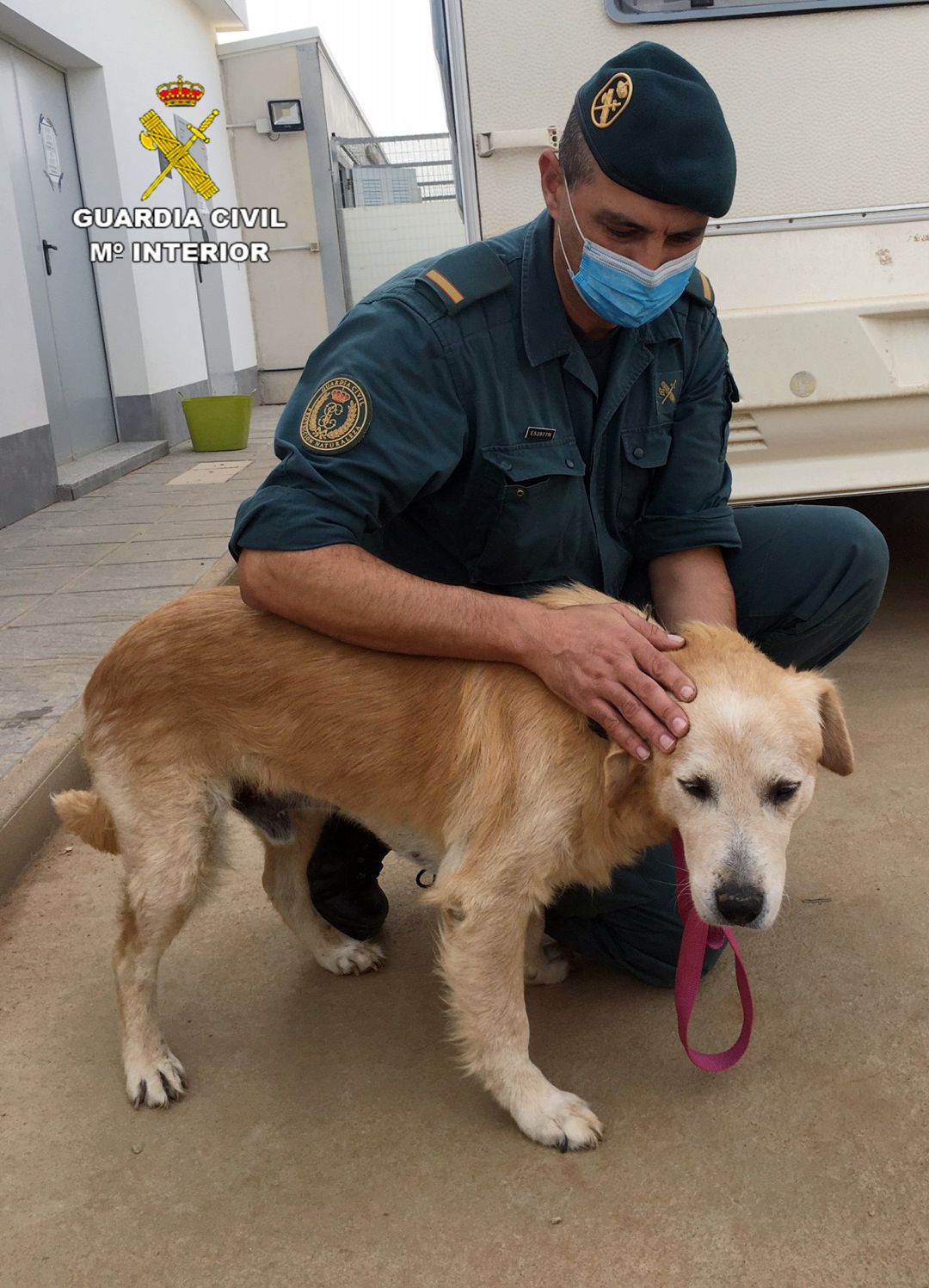 El perro abandonado con un agente de la Guardia Civil El perro abandonado con un agente de la Guardia Civil