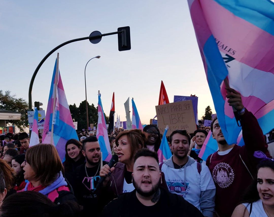 Banderas trans. Banderas trans.