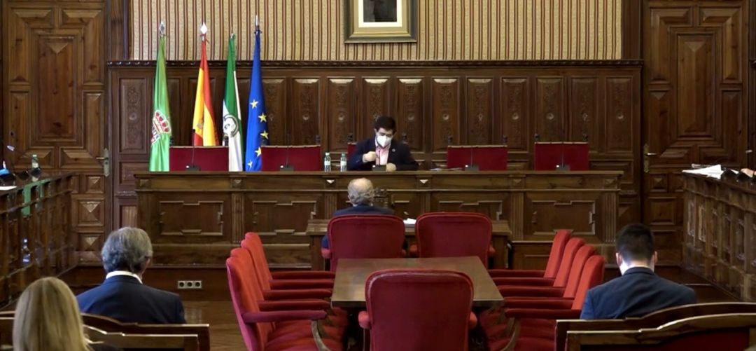 Pleno de la Diputación Provincial de Jaén. Pleno de la Diputación Provincial de Jaén.