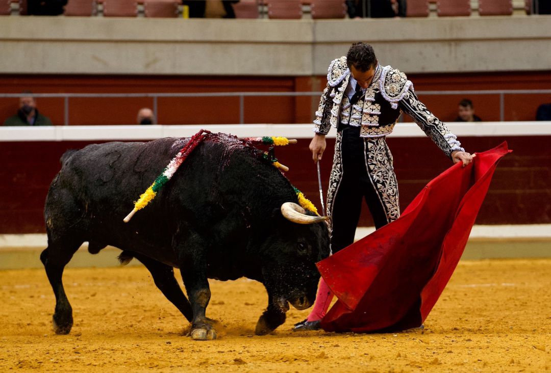 Buen natural de Pepe Moral el pasado sábado en Logroño ante toros de Miura Buen natural de Pepe Moral el pasado sábado en Logroño ante toros de Miura