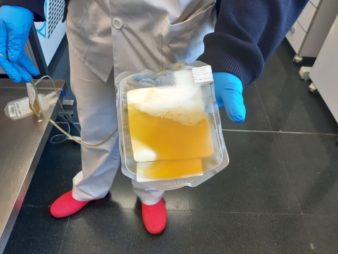 Si la sangre fuese una pecera, las células sanguíneas serían los peces y el plasma, el agua. Si la sangre fuese una pecera, las células sanguíneas serían los peces y el plasma, el agua.
