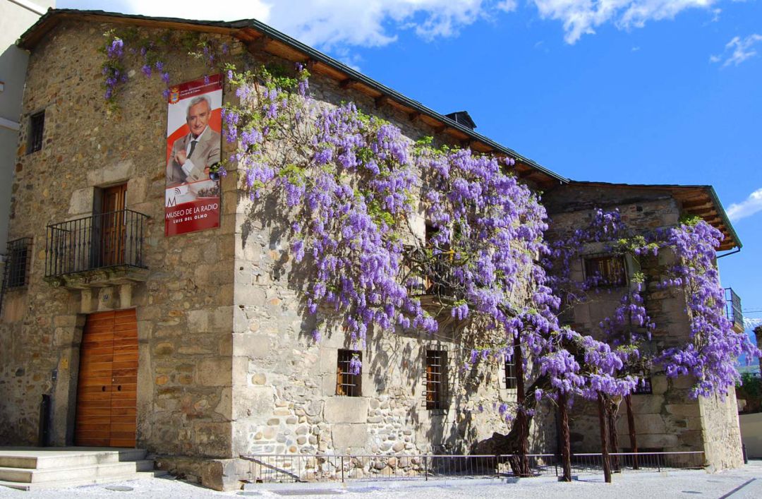 La glicinia acapara las fotografías de los visitantes de Ponferrada La glicinia acapara las fotografías de los visitantes de Ponferrada