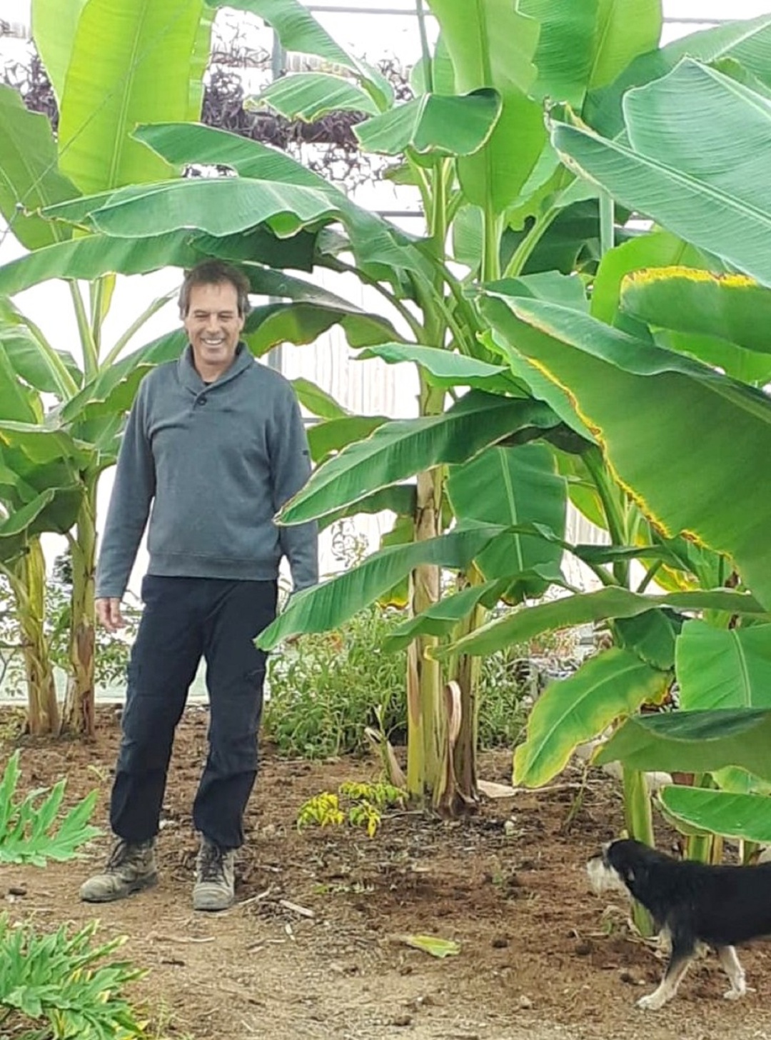 Javier Martínez, dueño del Vivero El Chorrillo, en su "jardín cálido" Javier Martínez, dueño del Vivero El Chorrillo, en su "jardín cálido"