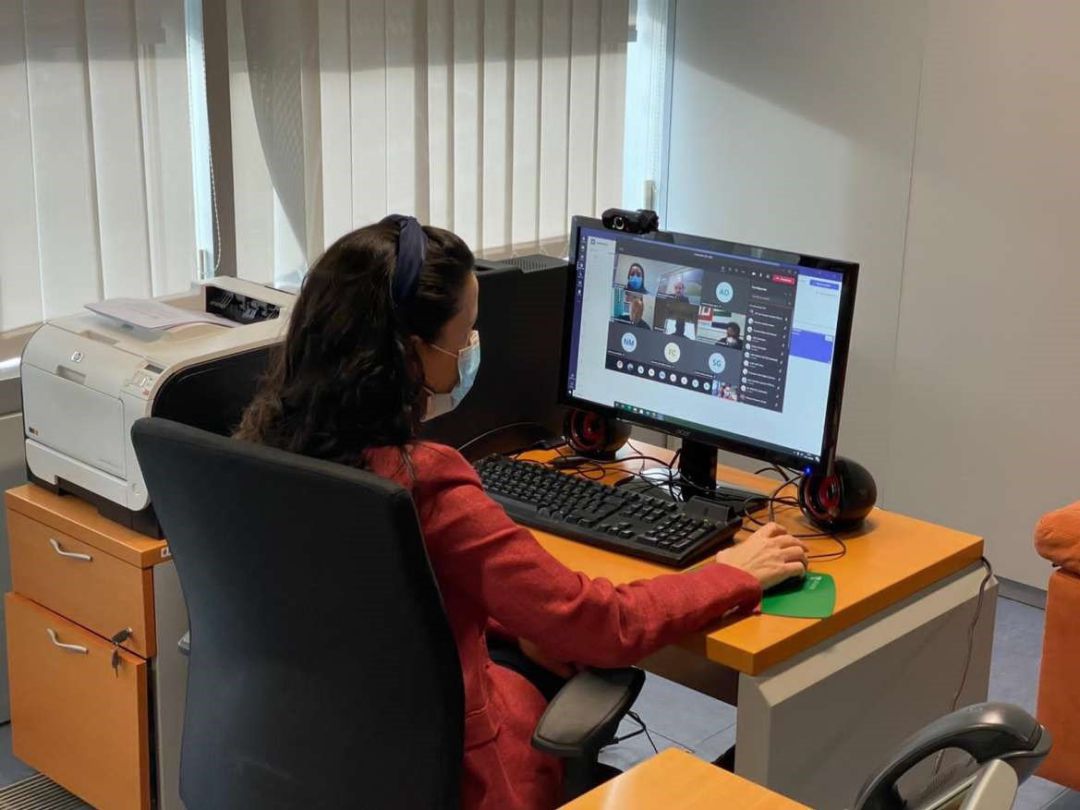 La directora general de Función Pública, Carmen Vicente, en la videoconferencia La directora general de Función Pública, Carmen Vicente, en la videoconferencia