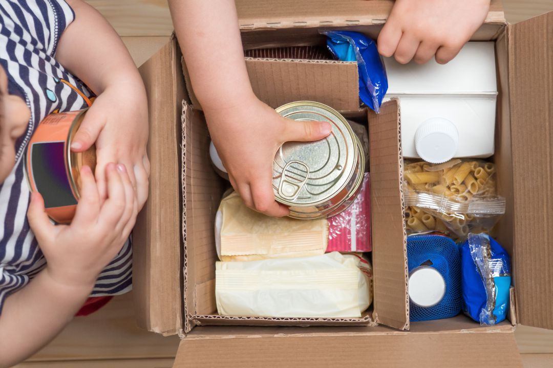 Lotes de alimentos Lotes de alimentos