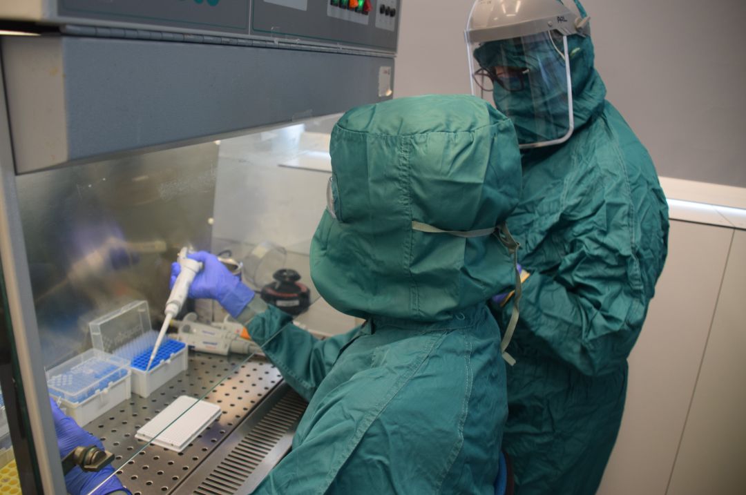 Investigadores del centro Príncipe Felipe trabajan en el desarrollo de estos test de coronavirus a través de muestras de saliva. Investigadores del centro Príncipe Felipe trabajan en el desarrollo de estos test de coronavirus a través de muestras de saliva.