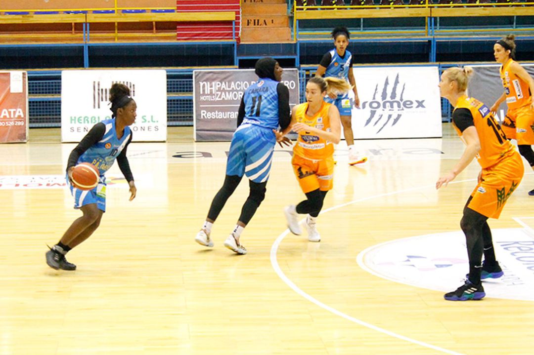 Jornada redonda para los equipos bercianos de baloncesto Jornada redonda para los equipos bercianos de baloncesto