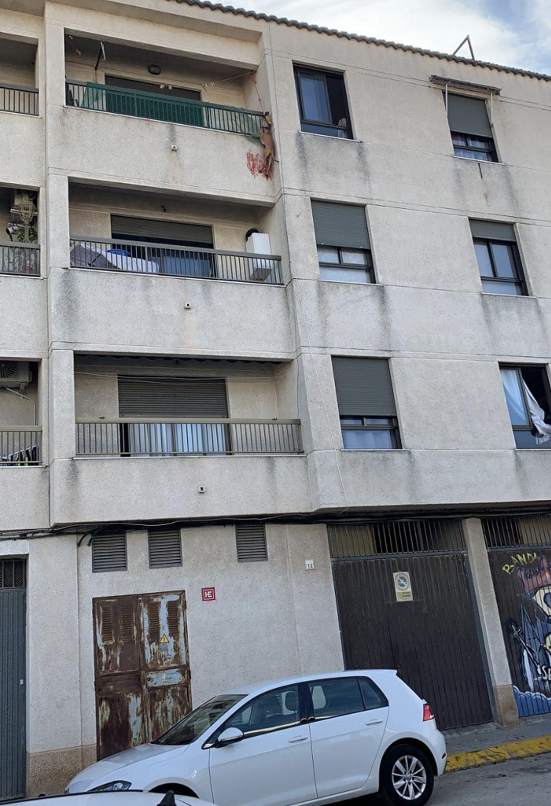 Imagen impactante del perro colgando del balcón de un tercer piso en Bellreguard Imagen impactante del perro colgando del balcón de un tercer piso en Bellreguard