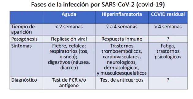 Fases de la infección. Fases de la infección.