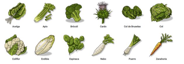 Estas son las verduras de temporada. Estas son las verduras de temporada.
