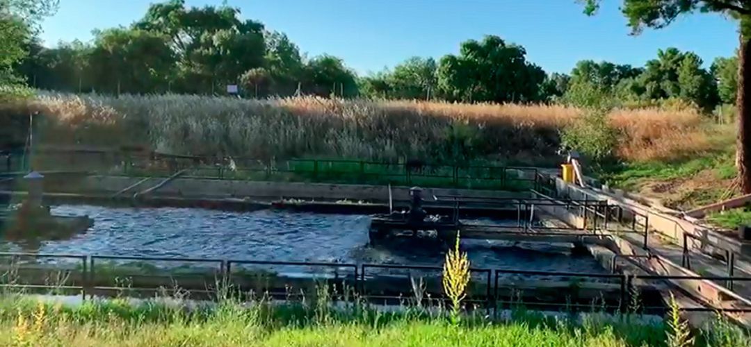 Depuradora de agua Depuradora de agua
