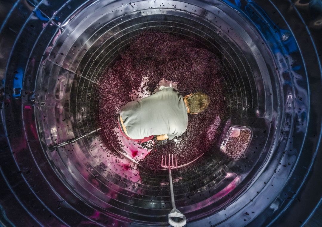 Fotografía ganadora, de Paco Santamaría Fotografía ganadora, de Paco Santamaría