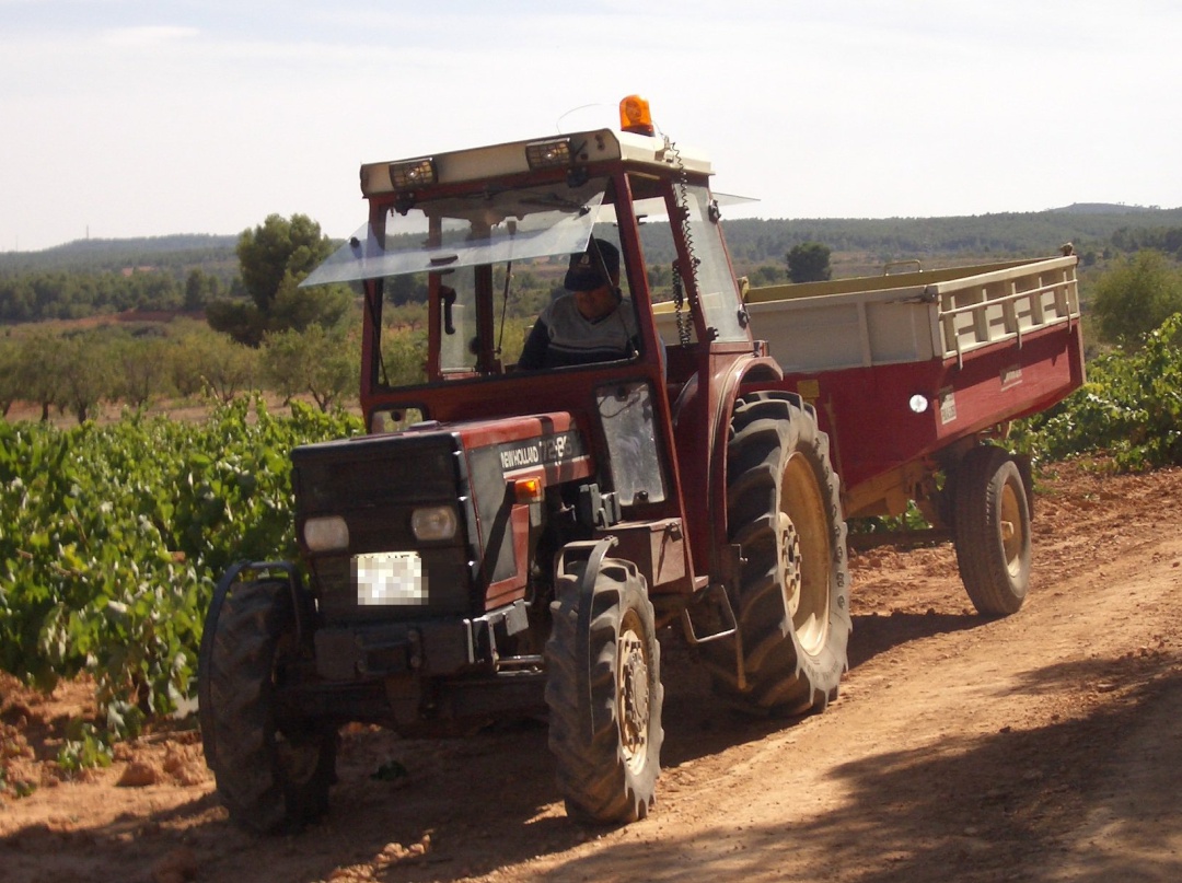 Tractor en una recogida de uva. Tractor en una recogida de uva.