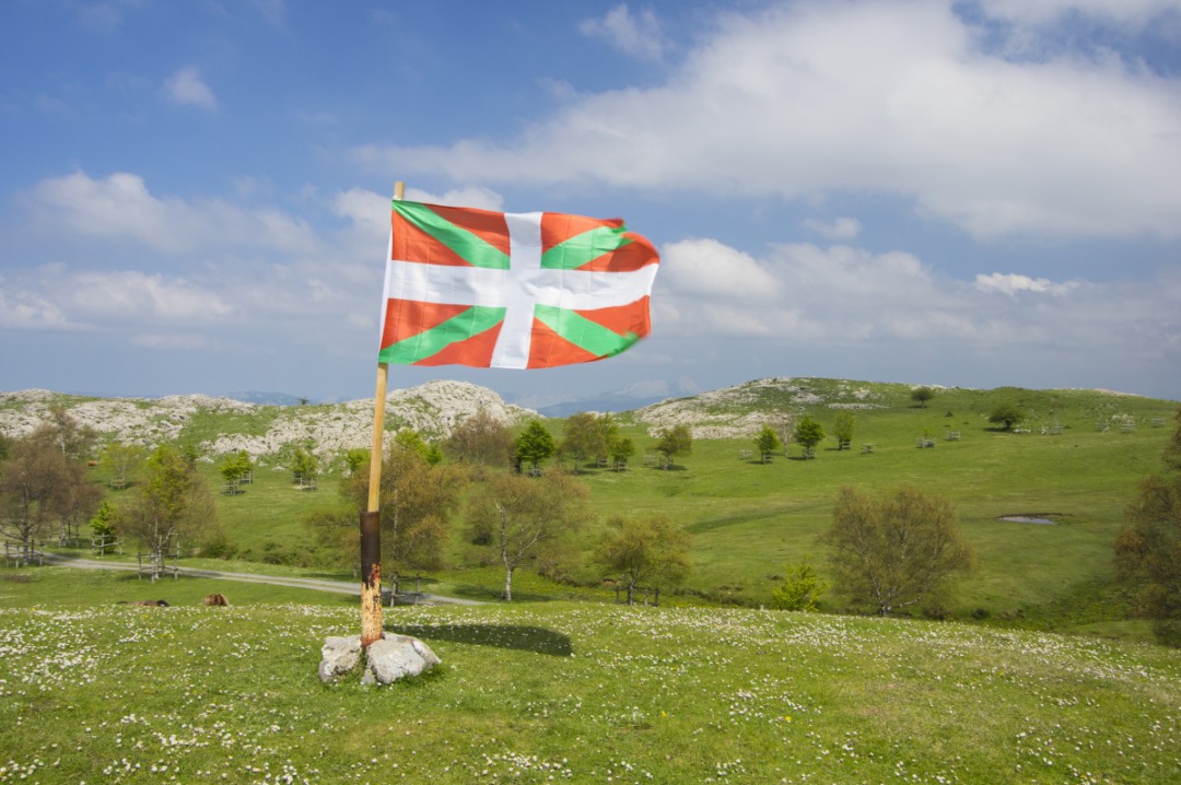 Día internacional del Euskera 2020 Día internacional del Euskera 2020