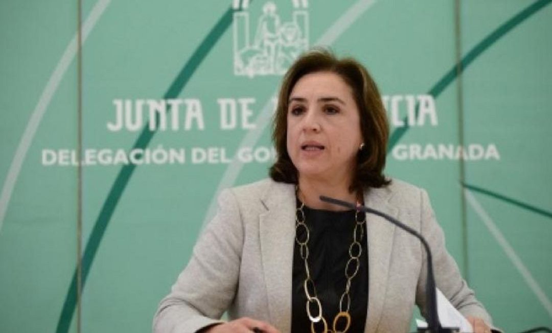 Sandra García, delegada de Gobierno Sandra García, delegada de Gobierno