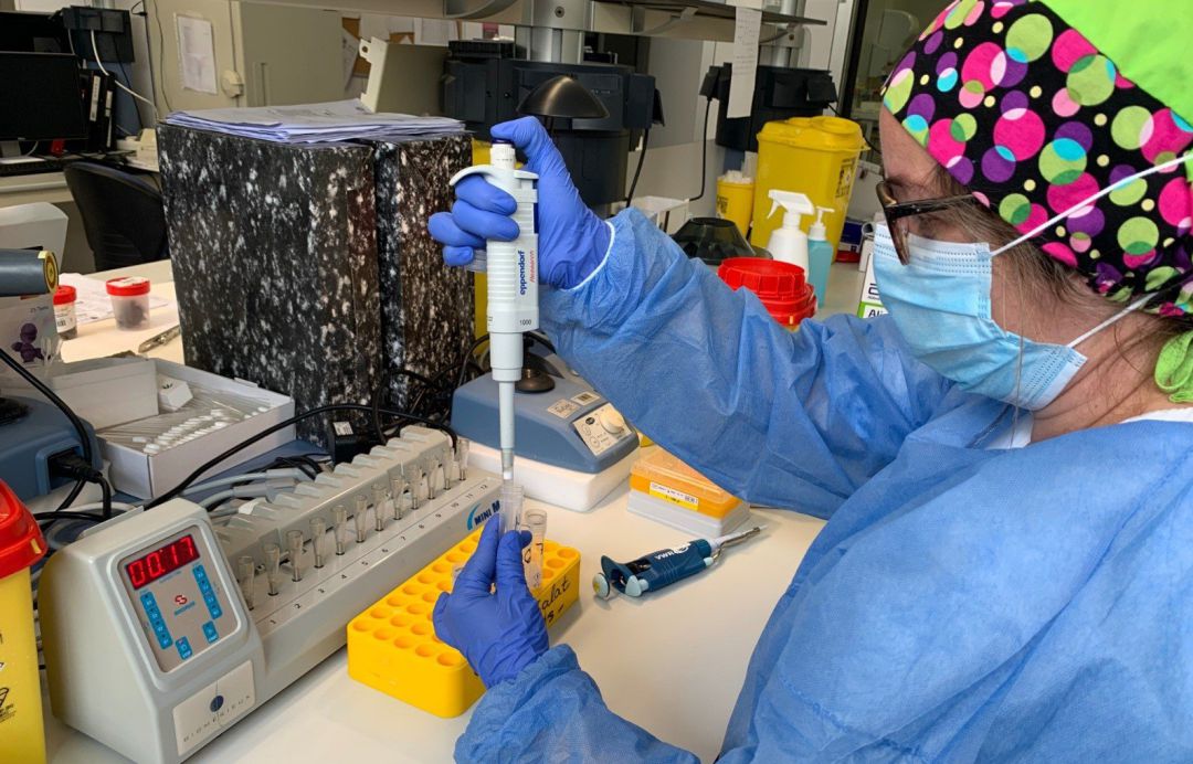 Análisis de PCR en un hospital Análisis de PCR en un hospital