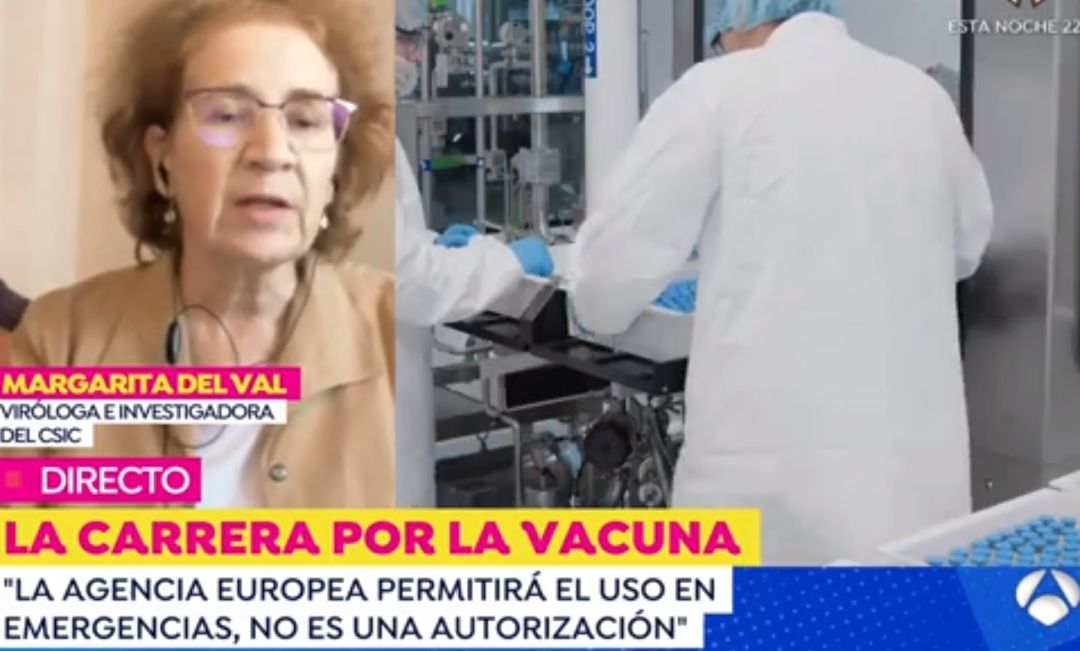 La viróloga Margarita del Val habla sobre los efectos secundarios de la vacuna contra el COVID-19. La viróloga Margarita del Val habla sobre los efectos secundarios de la vacuna contra el COVID-19.