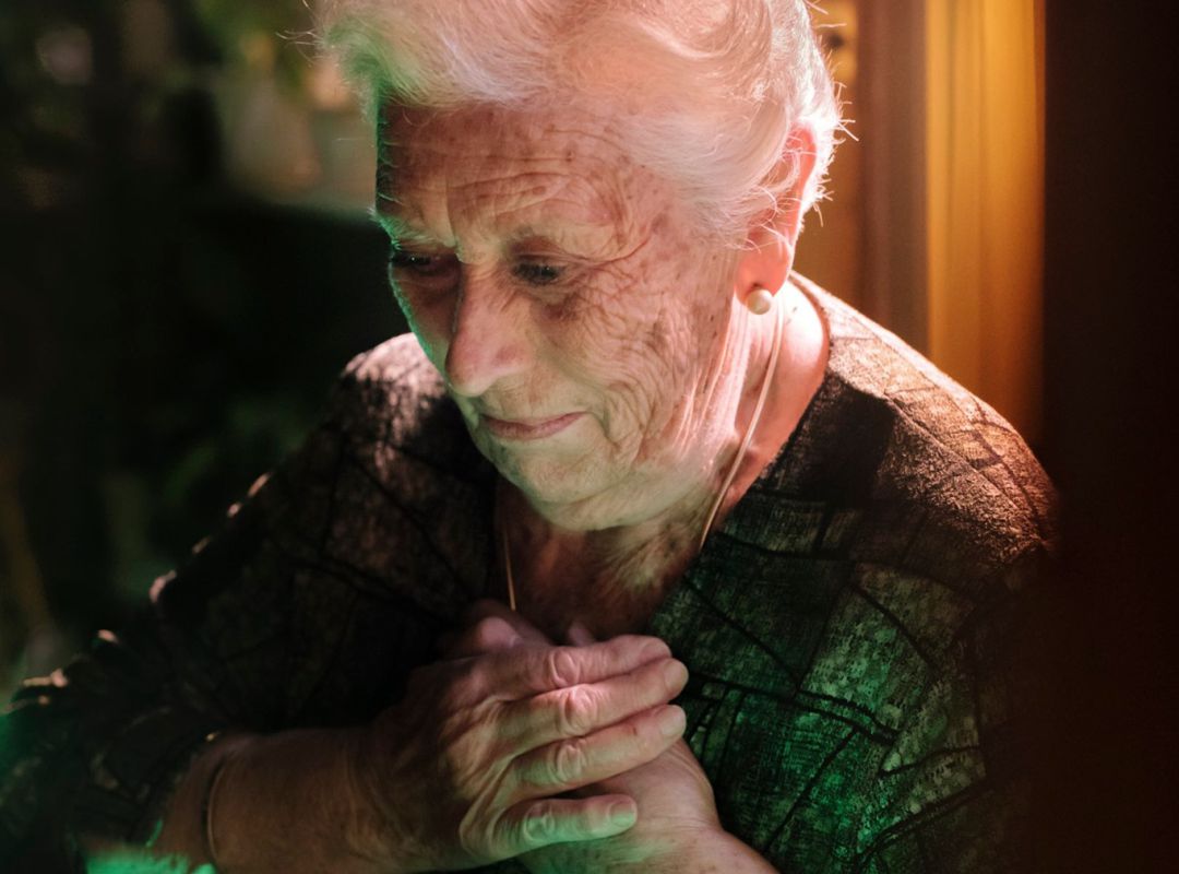 Evitar que la gent gran passi el Nadal sola, un dels objectius principals dels Amics de la Gent Gran. Evitar que la gent gran passi el Nadal sola, un dels objectius principals dels Amics de la Gent Gran.