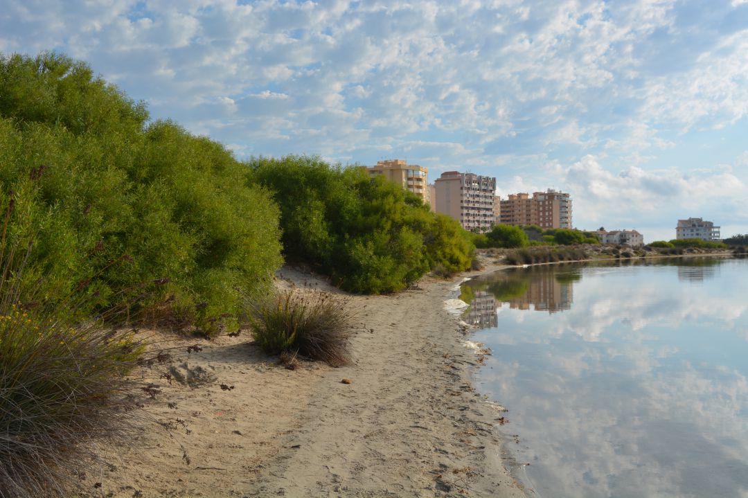 El Miteco autoriza a Anse a restaurar parte de la caleta del Estacio de La Manga El Miteco autoriza a Anse a restaurar parte de la caleta del Estacio de La Manga