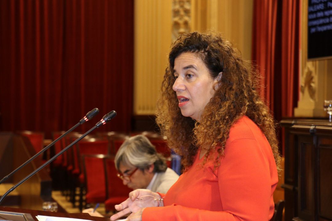 La consellera de Presidencia, Cultura e Igualdad, Pilar Costa. La consellera de Presidencia, Cultura e Igualdad, Pilar Costa.