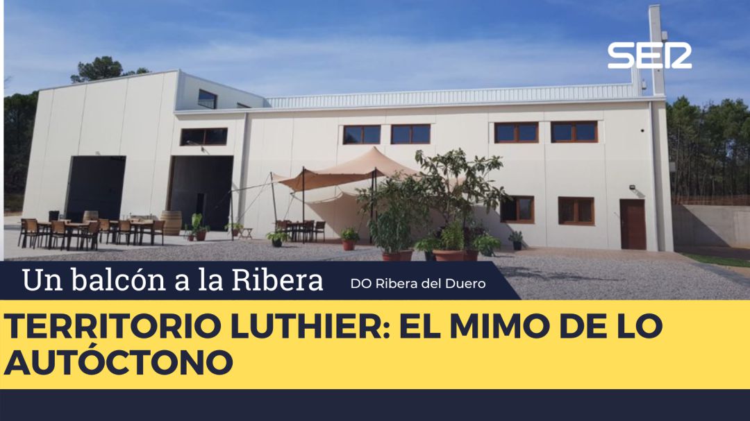 Territorio Luthier Territorio Luthier