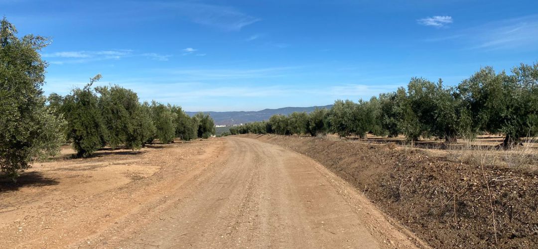 Uno de los caminos rurales arreglados de Marmolejo. Uno de los caminos rurales arreglados de Marmolejo.