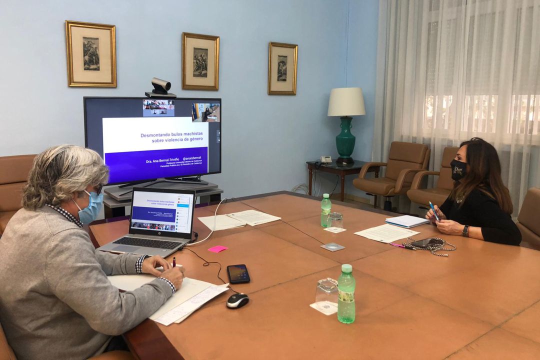 La Webinar organizada por Subdelegación pretende erradicar de una vez por todas los bulos machistas que se están colando entre la sociedad por ciertas fuerzas políticas La Webinar organizada por Subdelegación pretende erradicar de una vez por todas los bulos machistas que se están colando entre la sociedad por ciertas fuerzas políticas