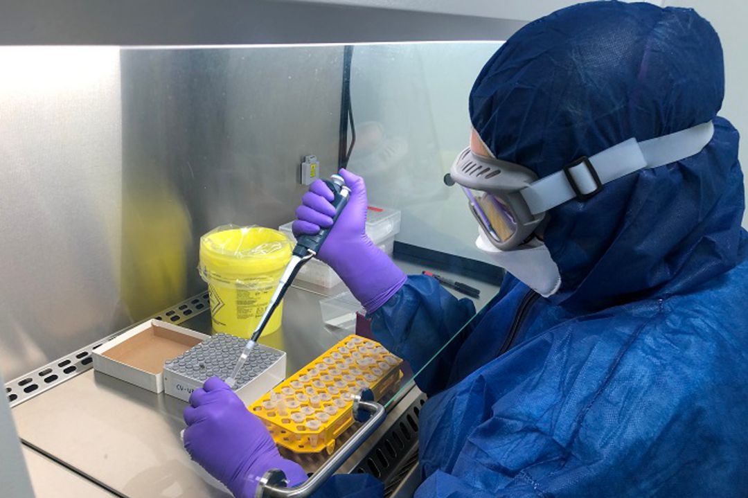 Una treballadora analitza proves PCR Una treballadora analitza proves PCR