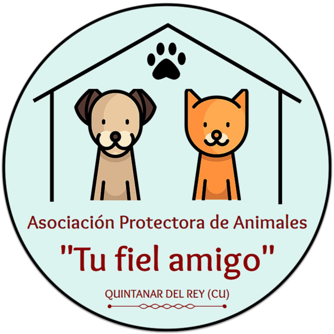 Asociación protectora de animales de Quintanar del Rey Asociación protectora de animales de Quintanar del Rey